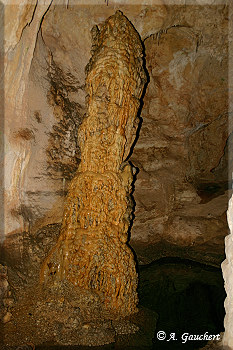 Kalksteinsäule